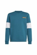 سویشرت آدیداس adidas با کد IW6013-C