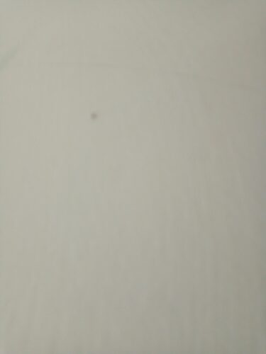 اسنیکر سفید آدیداس | GW0436 photo review