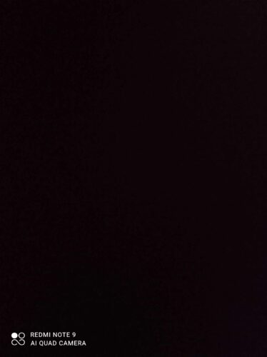 تیشرت رنگارنگ آدیداس | GN5723 photo review